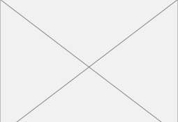 shapeimage_20_link_0